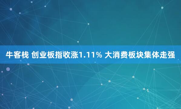 牛客栈 创业板指收涨1.11% 大消费板块集体走强