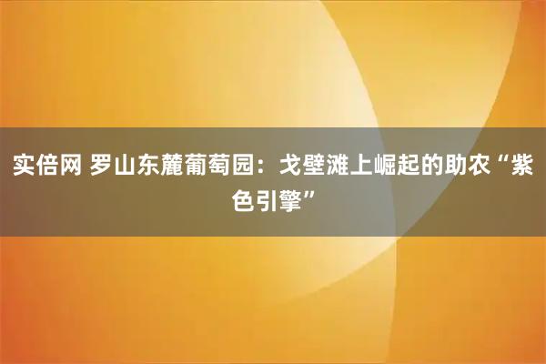 实倍网 罗山东麓葡萄园：戈壁滩上崛起的助农“紫色引擎”
