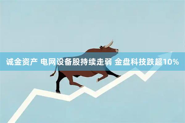 诚金资产 电网设备股持续走弱 金盘科技跌超10%