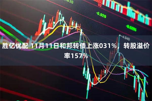 胜亿优配 11月11日和邦转债上涨031%，转股溢价率157%