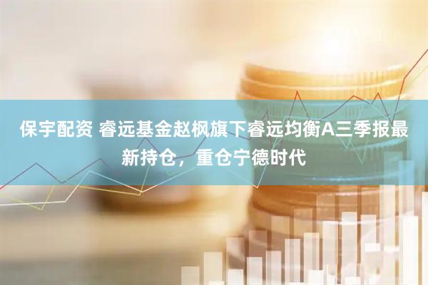 保宇配资 睿远基金赵枫旗下睿远均衡A三季报最新持仓，重仓宁德时代
